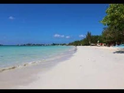 Tashella Sheri Amore Dickerson, 52, executive director of BLM Oklahoma faces up to 20 years in prison for each count of wire fraud and ten years for each count of money laundering.

