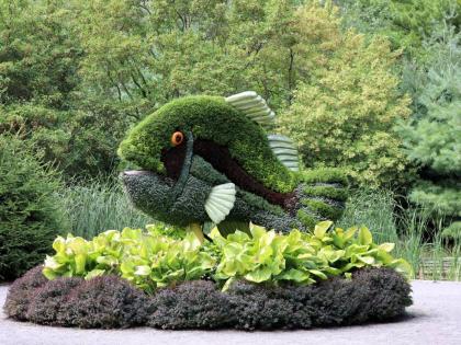 Photo by Howard Campbell 
Mosaiculture in the gardens at Niagara Parks Botanical Gardens, Ontario, Canada