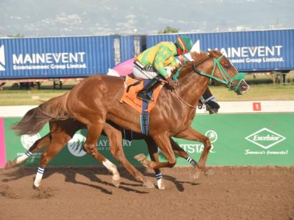 ATLANTIC CONVOY (right), ridden by Dane Nelson, wins the overnight allowance stakes Ahwhofah Sprint ahead of the partially hidden ZULU WARRIOR (Raddesh Roman) over six furlongs at Caymanas Park yesterday.