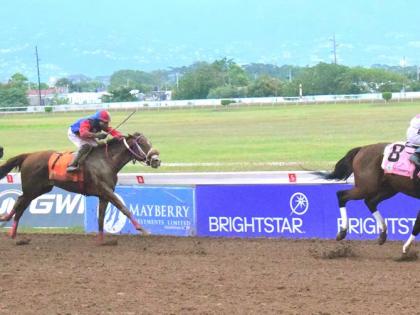 INTRESTNTIMESAHEAD (right),  ridden by Anthony Allen, wins the third running of the Will In Charge Trophy race  ahead of stablemate BRENDA BOY (left, Robert Halledeen)  and   MARK IDENTITY (centre, Dane Nelson) at Caymanas Park yesterday.