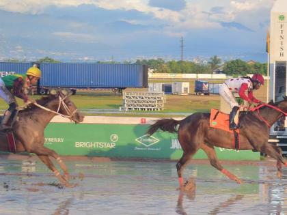 GIRVANO, ridden by Robert Halledeen, wins the MIRACLE MAN Trophy over a mile at Caymanas Park on New Year’s Day, Thursday, January 1, 2025.