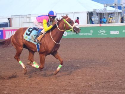 
ZULU WARRIOR, ridden by  Demar Williams, wins the Security Department Trophy over five furlongs in a brisk 58 seconds at Caymanas Park yesterday.