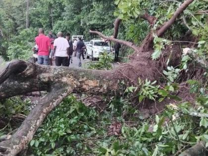 The landslide followed heavy rainfall early Tuesday morning.  