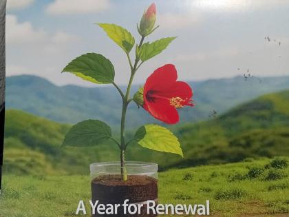 The cover of General Food’s 2026 calendar, titled ‘A Year for Renewal’.