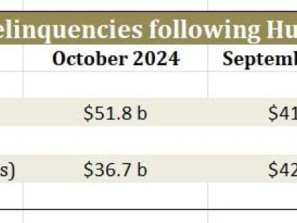 Past due loans and non performing loans to October 2025