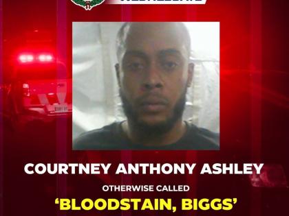 Wanted alleged gang leader Courtney 'Bloodstain' Ashley.