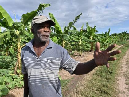 Daniel Goulbourne, a RADA-registered farmer for 15 years, farms two and a half acres at Parnassus, paying $20,000 per acre annually in lease fees. Despite this, he said there is no verification of storm damage to his farm and no meaningful assistance.