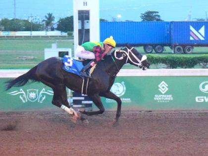 
NAUTICAL STAR, ridden by Raddesh Roman, wins the St Catherine Cup over six furlongs at Caymanas Park yesterday.