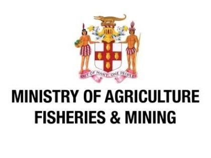 The ministry says “at all times, its actions complied" with the Public Procurement Act.