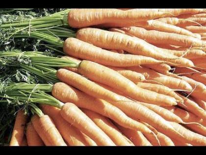 The event was scheduled for February 18, 2026. 