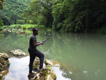 File 
In this file photo Rohan Malcolm from Kent Village, St Catherine, is seen angling at Rio Cobre River.