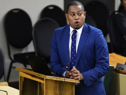 Agriculture Minster Floyd Green ... Defence attorney Hugh Wildman launched repeated attacks on Green’s credibility yesterday as he challenged the minister’s account of what he claimed to have witnessed.