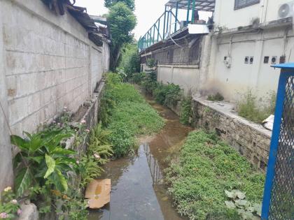 The Venture Gutter in Lucea, Hanover.