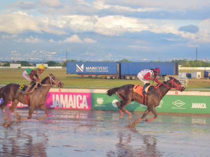 GIRVANO, ridden by Robert Halledeen, wins the MIRACLE MAN Trophy over seven and a half furlongs at Caymanas Park on New Year’s Day.