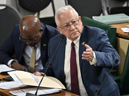 Delroy Chuck, minister of justice. 