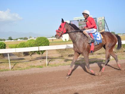 WALL STREET TRADER, the only challenge facing the much-improved Don Kwesi.