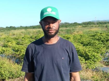 Roy Martin, president of the Parnassus Farmers’ Group in Clarendon. 