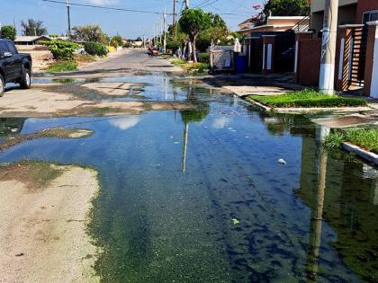 Sewage flowing on Debbie Avenue in Edgewater, Portmore, in May 2024.