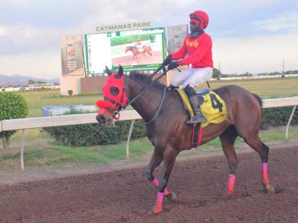 WALL STREET TRADER, ridden by Christopher Mamdeen, wins the Ash Wednesday Trophy an Overnight Allowance Stakes at Caymanas Park yesterday.
