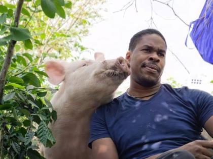 Operator of Souljapup Kennels Kevorn Ellis with his pig, Donald. 