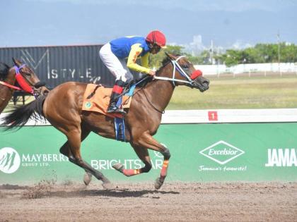 TAPPININ, with Anthony Thomas aboard, wins the fifth race over five furlongs round at Caymanas Park on Saturday, February 21, 2026.