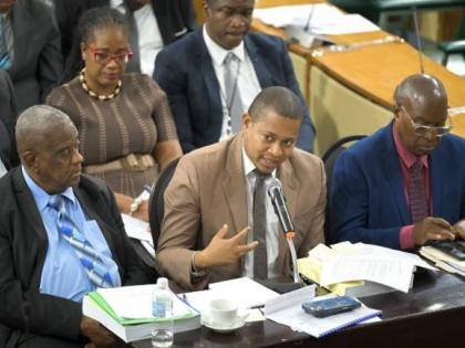 Minister of Agriculture, Fisheries and Mining, Floyd Green, is flanked by State Minister, Franklin Witte,r (left) and Permanent Secretary, Dermon Spence (right), as he addresses the sitting of the Standing Finance Committee on March 6 at Gordon House. 