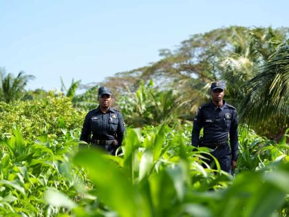 Corporal Shernett Walker (left) and Constable Gavonn Lawerence from Jamaica Constabulary Force’s Agricultural Protection Branch (APB) on a patrol at a farm in Hill Run, St Catherine.