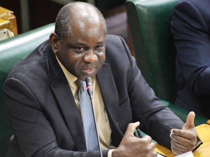 Fiscal Commissioner Courtney Williams