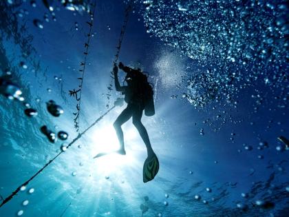 In this 2019 photo, diver Lenford DaCosta is seen cleaning up lines of staghorn coral at an underwater coral nursery inside the Oracabessa Fish Sanctuary, in Oracabessa, Jamaica. 