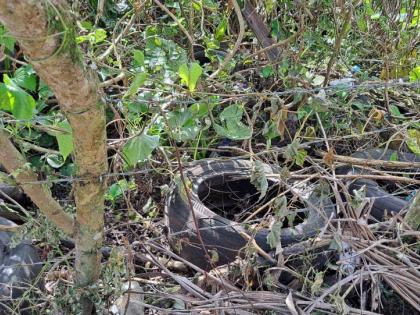 Old tyres that have washed into the a section of the backyard of May Harris, a retired public servant who lives in Rio Grande valley of eastern Portland. 

