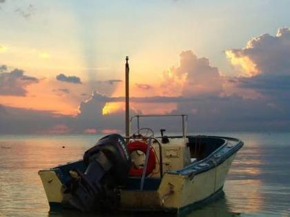 Small boats may be adversely affected by wind speeds of 20 to 33 knots or by high wave heights.