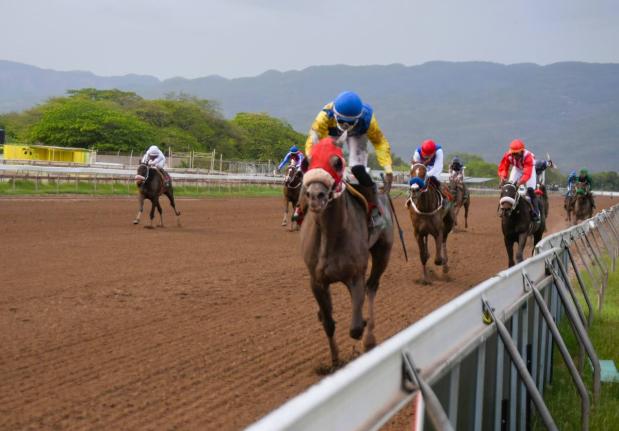 MOJITO, ridden by Dane Dawkins, wins the 30th running of the PRINCE CONSORT STAKES, a three-year-old Graded Stakes for colts and geldings over seven furlongs at Caymanas Park on Sunday April 9, 2023.