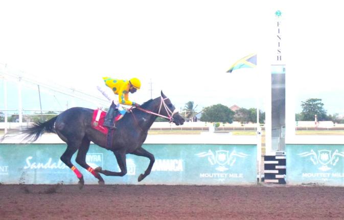 RIDEALLDAY, ridden by Ian Spence, runs away with The Bigman In Town Trophy over a mile at Caymanas Park on July 19.