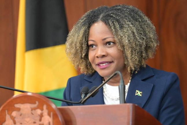 Minister of Information Dr Dana Morris Dixon. - File photo.