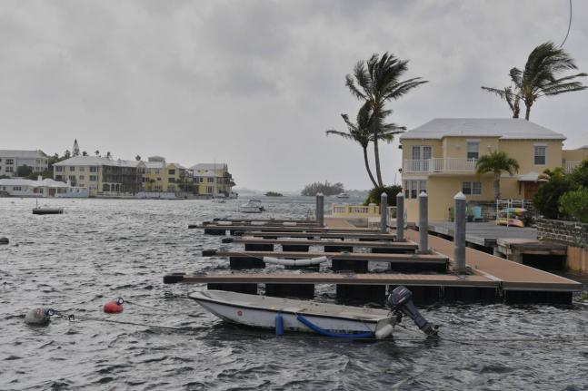 Trees blow in the wind on a pier ahead of Hurricane Imelda's expected arrival in Hamilton, Bermuda, Wednesday, October 1, 2025. (AP Photo/Anthony Wade)