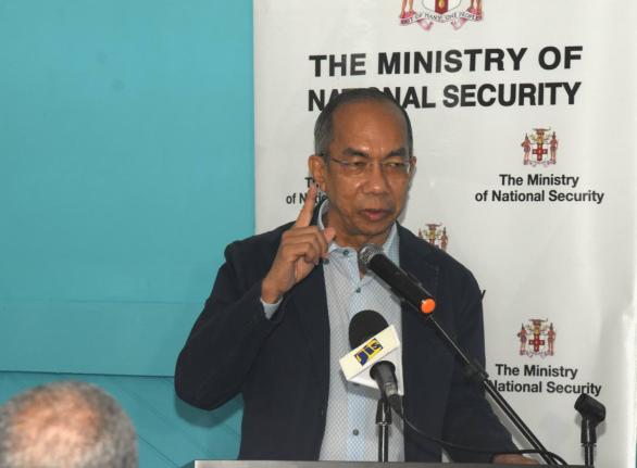 Minister of National Security and Peace, Dr Horace Chang. - File photo