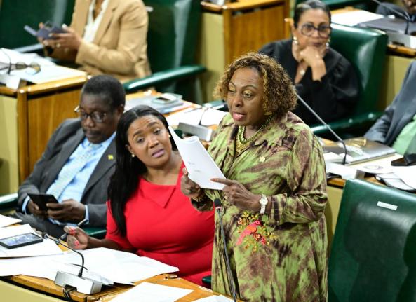 Minister of Culture, Gender, Entertainment and Sport, Olivia Grange, addressing the House of Representatives.