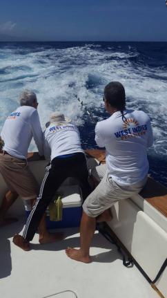 Anglers fighting a blue marlin during a previous iteration of the Port Antonio International MArlin Tournament.