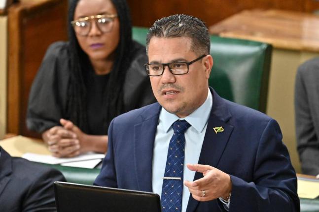 Minister of Water, Environment Minister and Climate Change,Matthew Samuda, speaking in the House of Representatives on October 21, 2025.  