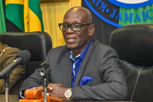 Minister of Local Government and Community Development, Desmond McKenzie. 