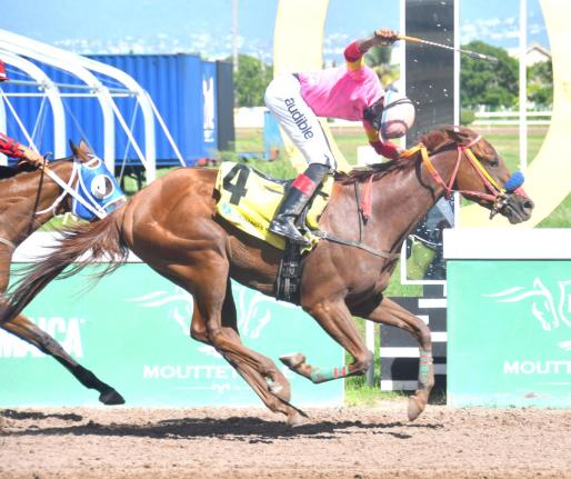 ZULU WARRIOR, ridden by Calvin Bailey, wins the fifth race, The Reggae 6 Anniversary Trophy, over six furlongs, at Caymanas Park on Saturday, October 12, 2024. 