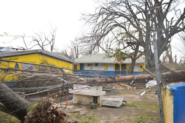 This photo taken on November 3 shows a collapsed fence, uprooted powerlines and trees at Ferris Primary School in Westmoreland.