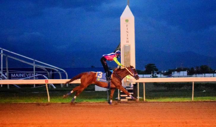 Anthony Minott/Freelance Photographer 
ZULU WARRIOR, ridden by Tyreese Anderson, wins the United Racehorse Trainers Association of Jamaica Trophy over six-and-a-half furlongs at Caymanas Park yesterday.