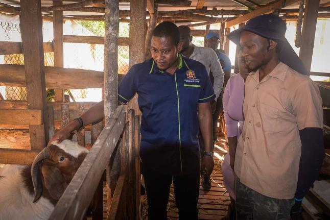 Minister of Agriculture, Fisheries and Mining, Floyd Green (left), is briefed by goat farmer, Delarno Small, during a farm tour in Bonnet District, Guys Hill, St Catherine, on November 20. Also pictured are Minister of State in the Ministry of Culture, Gen
