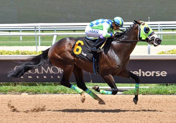 Anthony Nunes’ NAUTICAL STAR is looking for redemption from his Mouttet Mile flop in Saturday’s St Catherine Cup at Caymanas Park.