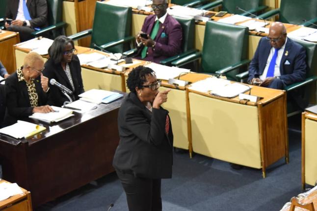 An upset St Andrew South West Member of Parliament Dr Angela Brown Burke on her feet in Parliament as she confronted House Speaker Juliet Holness for not being allowed to speak. The sitting was held on December 8, 2025.