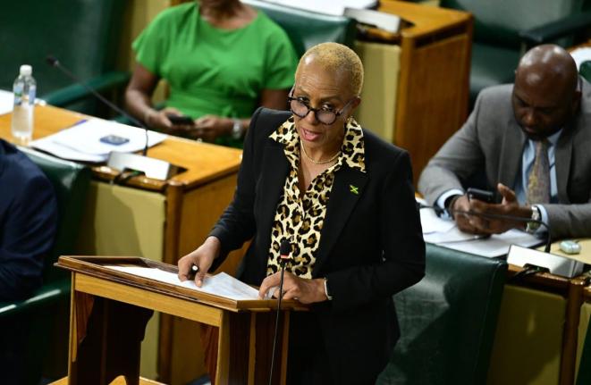 Minister of Finance and the Public Service, Fayval Williams