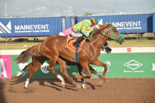 ATLANTIC CONVOY (right), ridden by Dane Nelson, wins the overnight allowance stakes Ahwhofah Sprint ahead of the partially hidden ZULU WARRIOR (Raddesh Roman) over six furlongs at Caymanas Park yesterday.