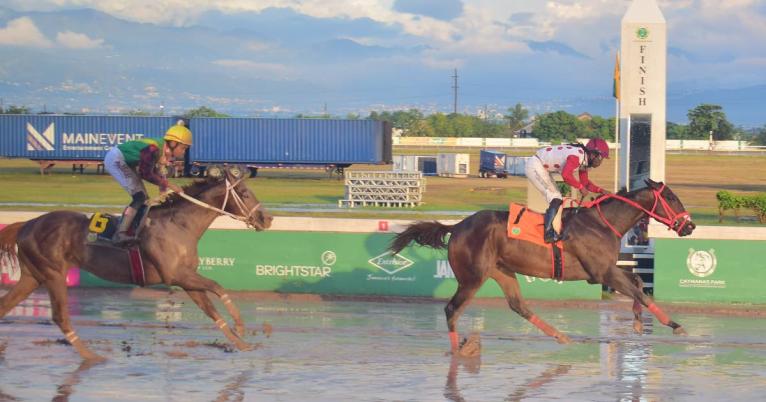 GIRVANO, ridden by Robert Halledeen, wins the MIRACLE MAN Trophy over a mile at Caymanas Park on New Year’s Day, Thursday, January 1, 2025.