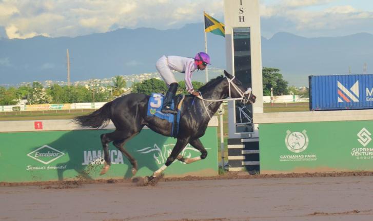 
AMERICAN AVIATOR, ridden by Tevin Foster, wins the four-year-old and over Restricted Allowance Stakes ninth race over seven furlongs at Caymanas Park yesterday.